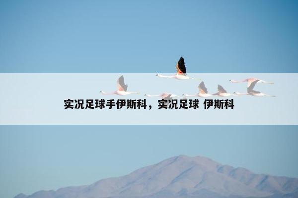 实况足球手伊斯科，实况足球 伊斯科
