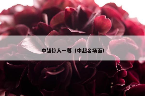 中超惊人一幕（中超名场面）