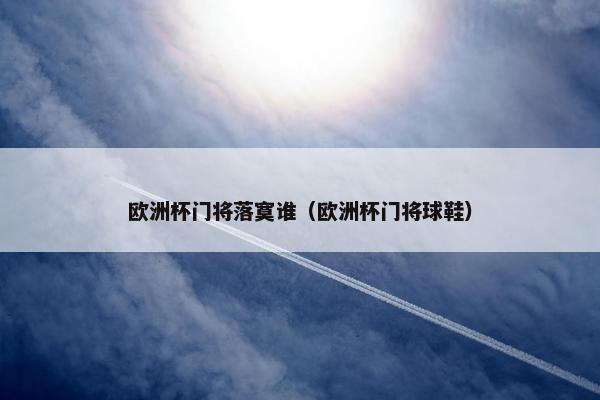 欧洲杯门将落寞谁（欧洲杯门将球鞋）