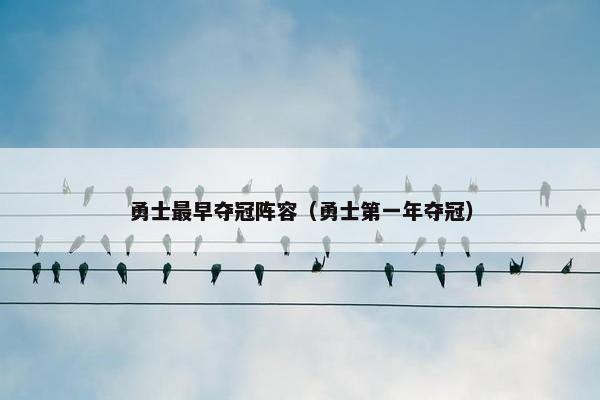 勇士最早夺冠阵容（勇士第一年夺冠）