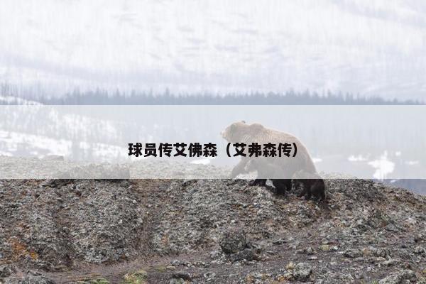 球员传艾佛森（艾弗森传）