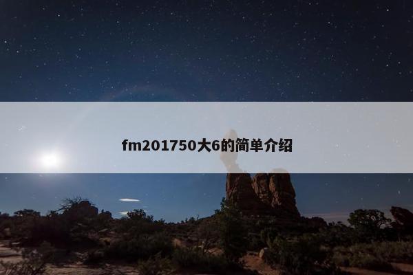 fm201750大6的简单介绍