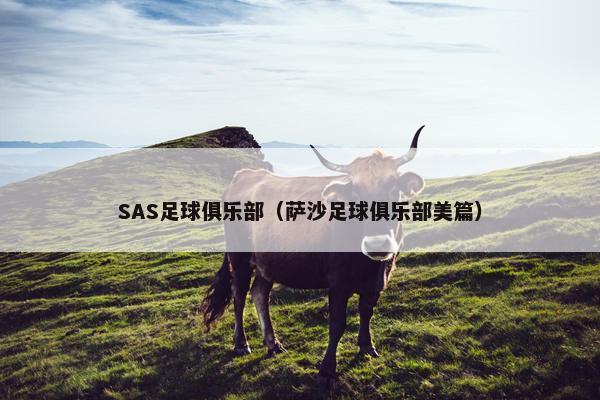 SAS足球俱乐部（萨沙足球俱乐部美篇）