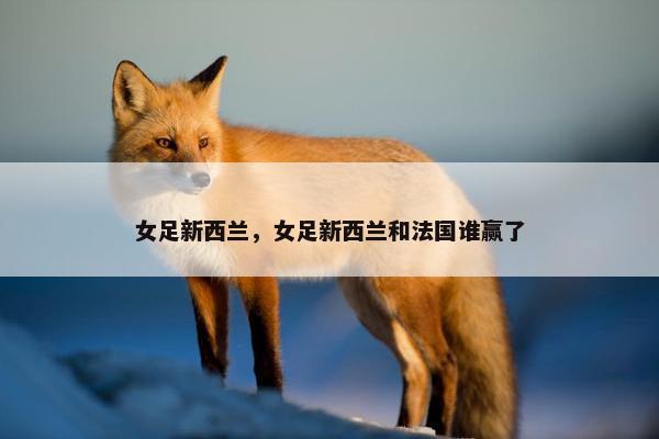 女足新西兰，女足新西兰和法国谁赢了
