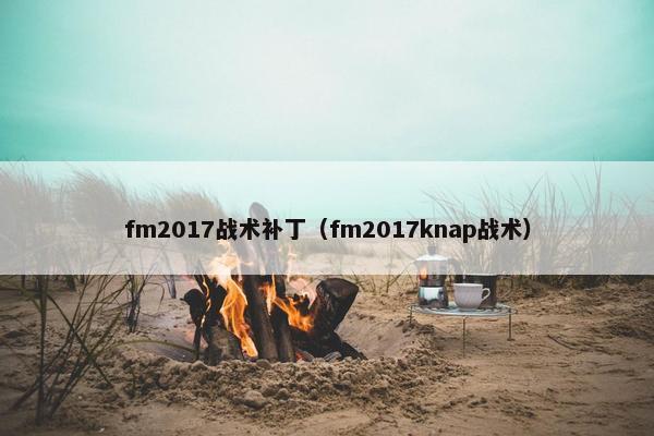 fm2017战术补丁（fm2017knap战术）