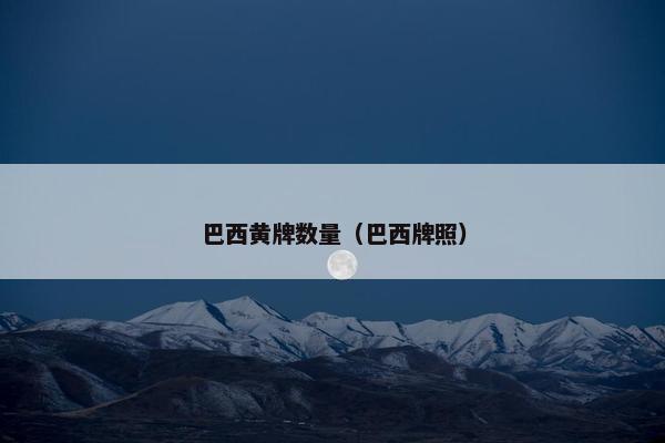 巴西黄牌数量（巴西牌照）