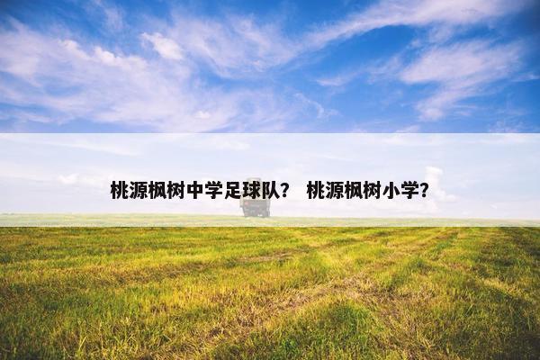 桃源枫树中学足球队？ 桃源枫树小学？