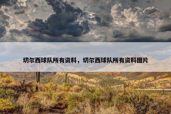 切尔西球队所有资料，切尔西球队所有资料图片