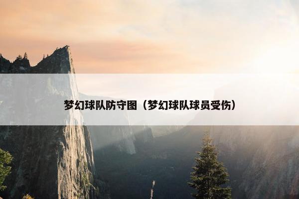 梦幻球队防守图（梦幻球队球员受伤）