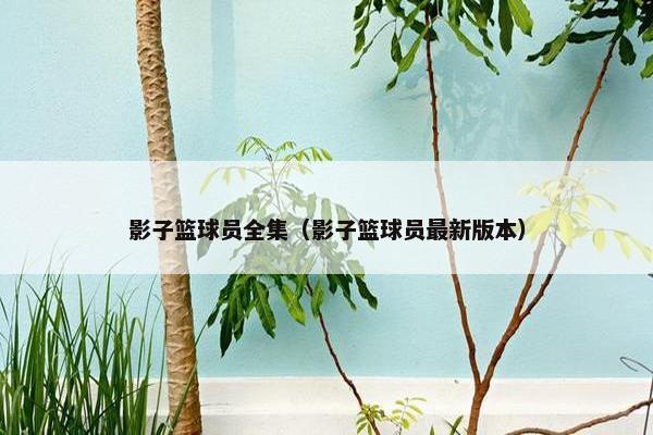 影子篮球员全集（影子篮球员最新版本）