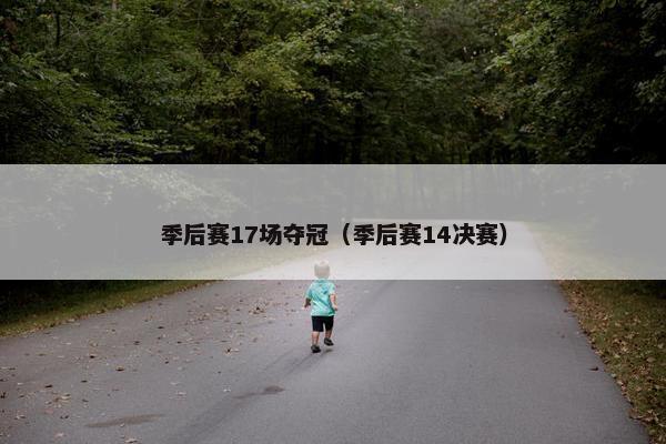 季后赛17场夺冠（季后赛14决赛）