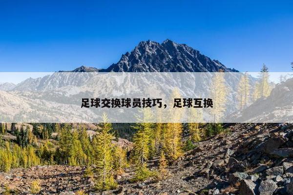 足球交换球员技巧，足球互换