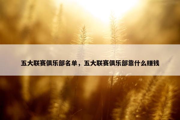 五大联赛俱乐部名单，五大联赛俱乐部靠什么赚钱