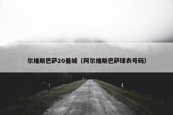 尔维斯巴萨20曼城（阿尔维斯巴萨球衣号码）