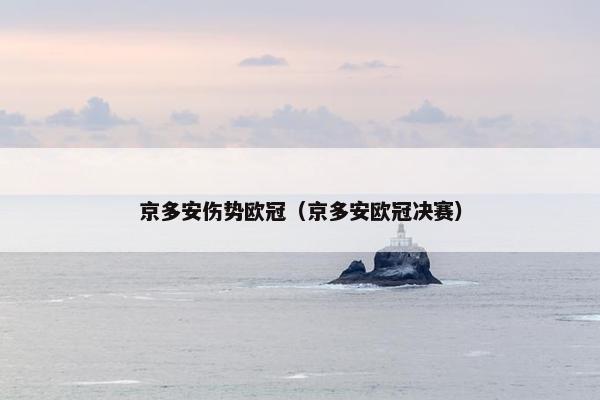 京多安伤势欧冠（京多安欧冠决赛）