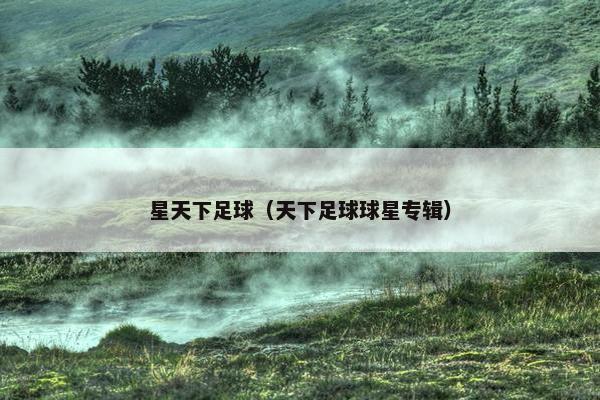 星天下足球（天下足球球星专辑）