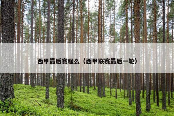 西甲最后赛程么（西甲联赛最后一轮）