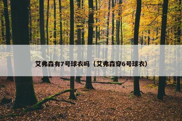 艾弗森有7号球衣吗（艾弗森穿6号球衣）