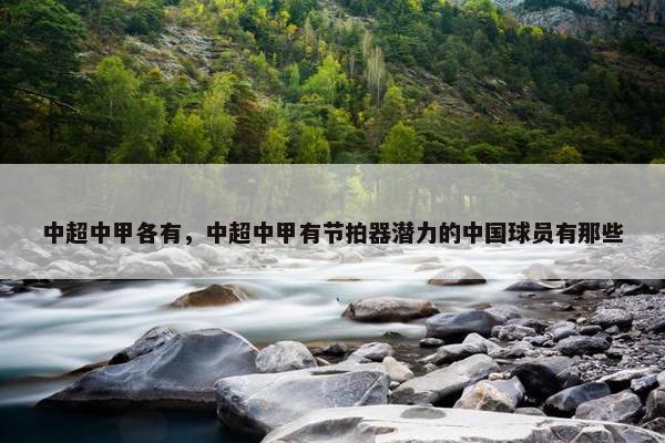 中超中甲各有，中超中甲有节拍器潜力的中国球员有那些