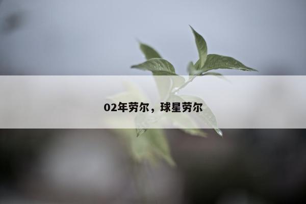 02年劳尔，球星劳尔