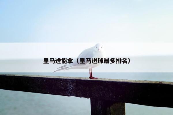 皇马进能拿（皇马进球最多排名）