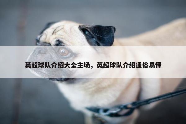 英超球队介绍大全主场，英超球队介绍通俗易懂
