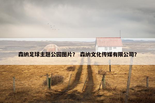 森纳足球主题公园图片？ 森纳文化传媒有限公司？