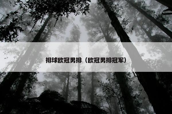 排球欧冠男排（欧冠男排冠军）