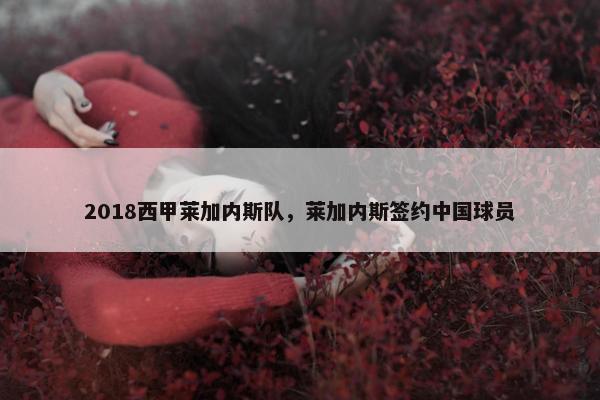 2018西甲莱加内斯队，莱加内斯签约中国球员