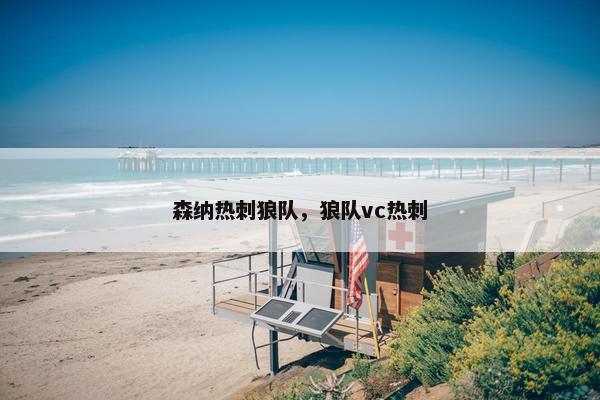 森纳热刺狼队，狼队vc热刺