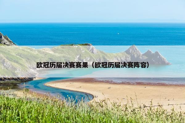 欧冠历届决赛赛果（欧冠历届决赛阵容）