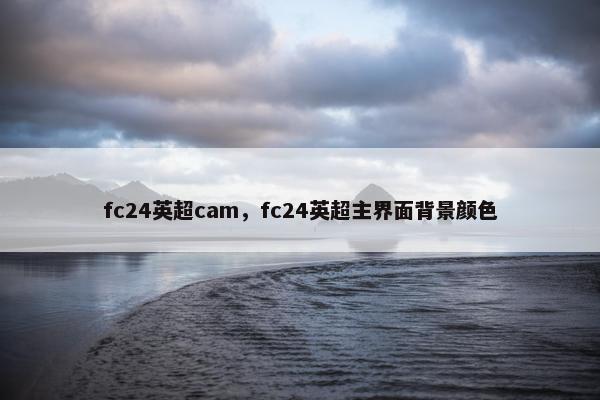 fc24英超cam，fc24英超主界面背景颜色