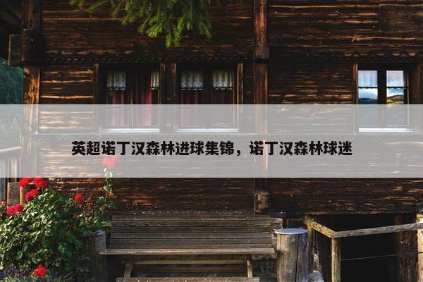 英超诺丁汉森林进球集锦，诺丁汉森林球迷