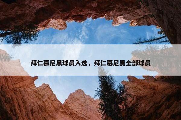 拜仁慕尼黑球员入选，拜仁慕尼黑全部球员