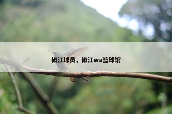 椒江球员，椒江wa篮球馆