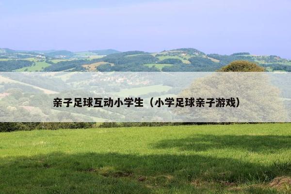 亲子足球互动小学生（小学足球亲子游戏）