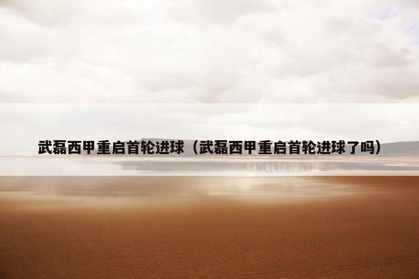 武磊西甲重启首轮进球（武磊西甲重启首轮进球了吗）