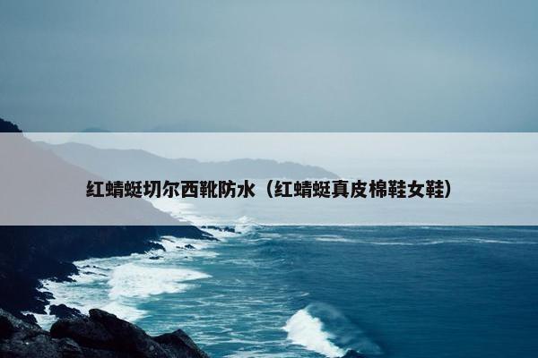红蜻蜓切尔西靴防水（红蜻蜓真皮棉鞋女鞋）