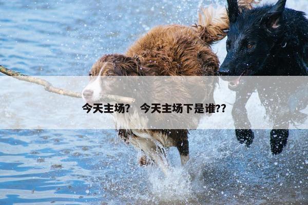 今天主场？ 今天主场下是谁?？
