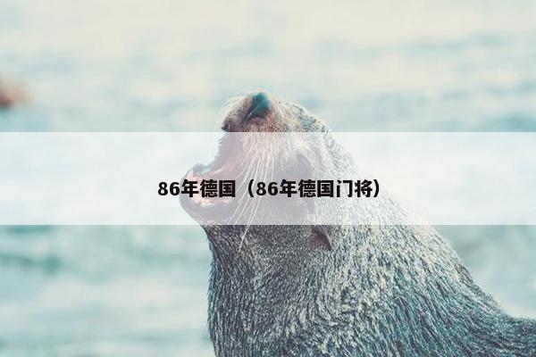 86年德国（86年德国门将）