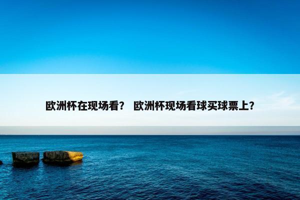 欧洲杯在现场看？ 欧洲杯现场看球买球票上？