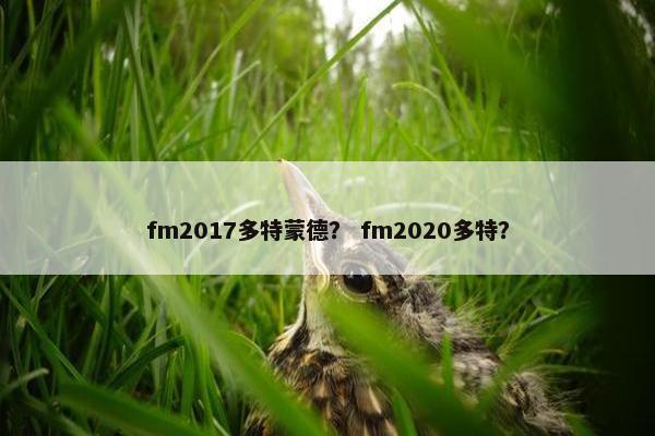 fm2017多特蒙德？ fm2020多特？