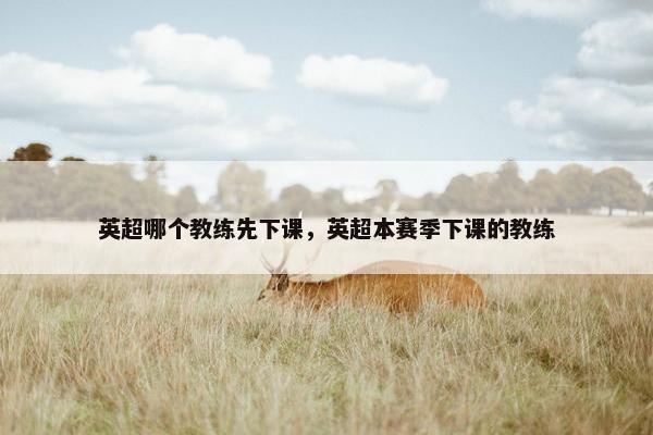 英超哪个教练先下课，英超本赛季下课的教练