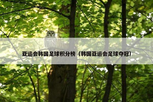 亚运会韩国足球积分榜（韩国亚运会足球夺冠）