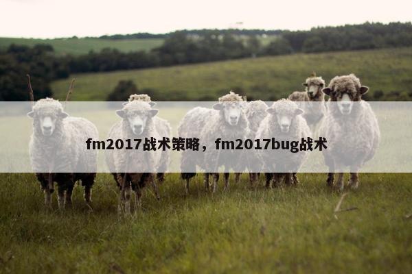 fm2017战术策略，fm2017bug战术