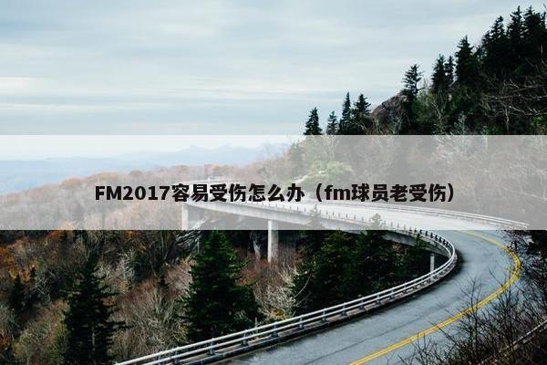 FM2017容易受伤怎么办（fm球员老受伤）