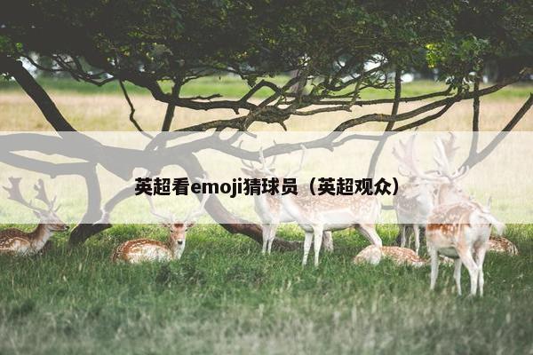 英超看emoji猜球员（英超观众）