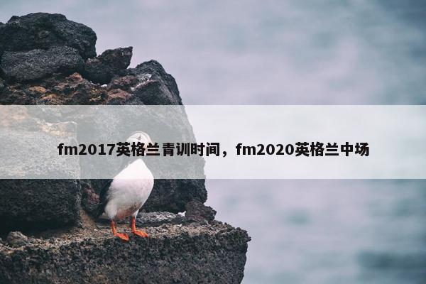 fm2017英格兰青训时间，fm2020英格兰中场