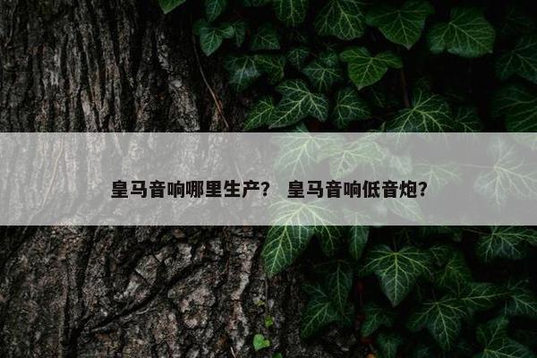皇马音响哪里生产？ 皇马音响低音炮？