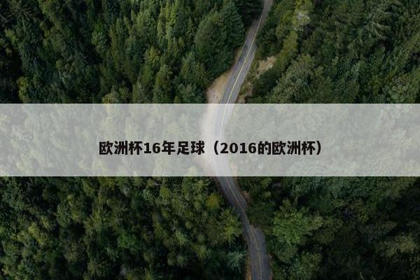 欧洲杯16年足球（2016的欧洲杯）